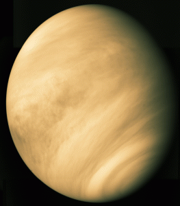 Venere