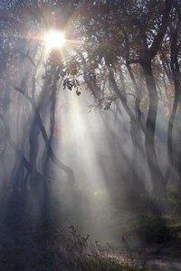 La nebbia nella simbologia