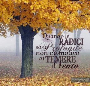 Esercizi di radicamento