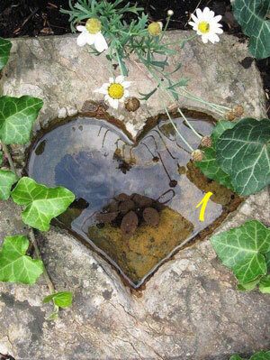 Il chakra del cuore