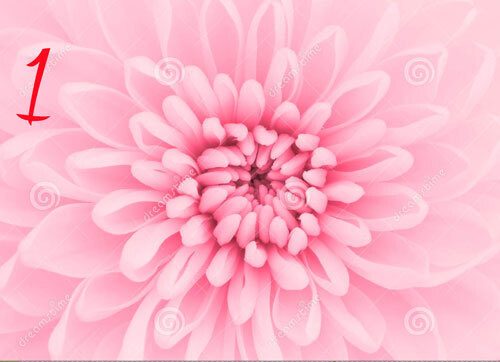 Un messaggio dai fiori