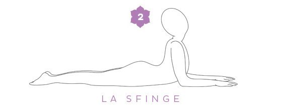 Meditazione della sfinge