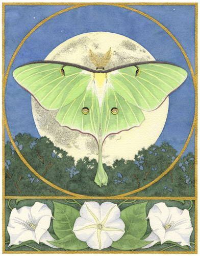 Letture tarologiche della settimana
