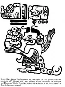 Scorpion goddess Mayan Codex