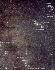 Scorpione