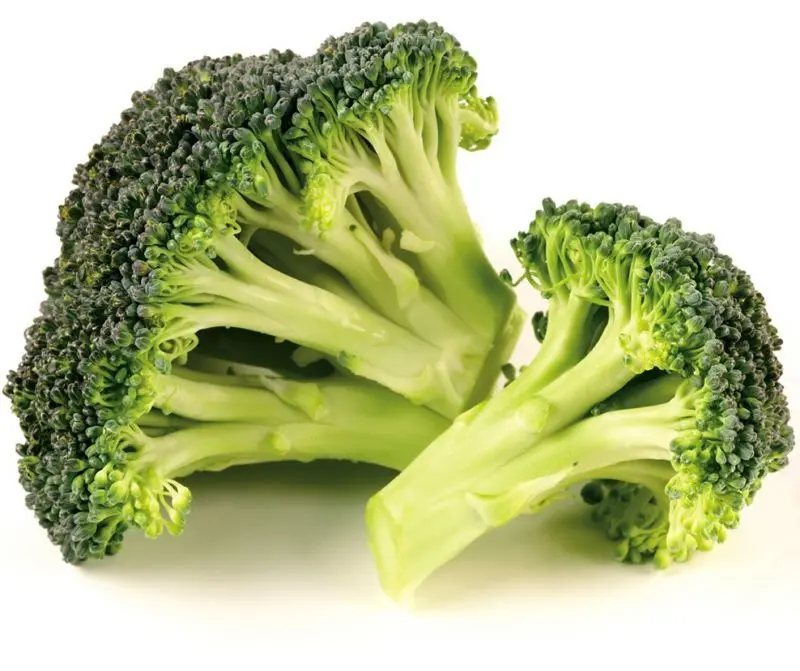 Broccolo