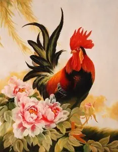 an0021_il_gallo_50x40_grande