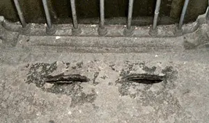 lascaris