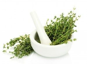 mortar with fresh green thyme isolated on white