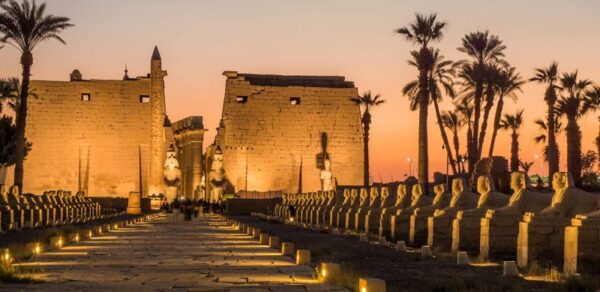 Palma: significato e simbolo nella cultura egizia e cristiana