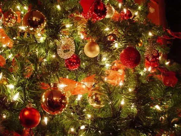 Come decorare l’albero di natale e la casa per attrarre energie positive