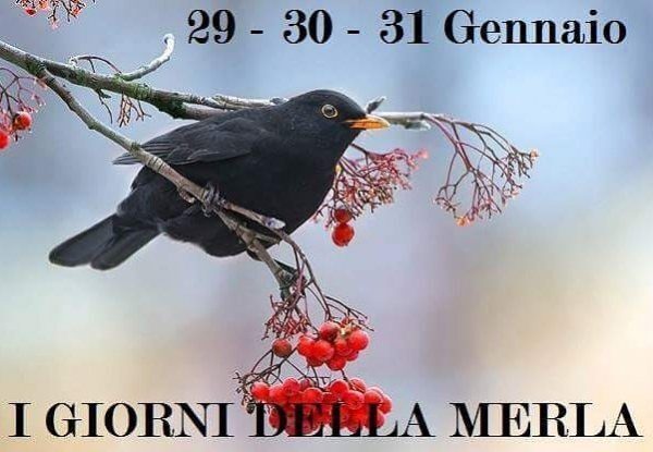 I segreti dei giorni della merla