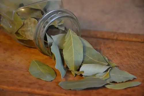 Il rito delle cinque foglie di alloro per purificare la casa