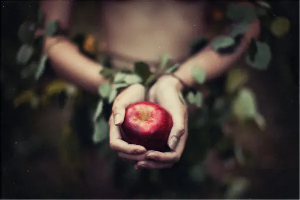 Il significato simbolico della mela: il frutto della Dea Madre e della misteriosa Avalon che nutre gli spiriti