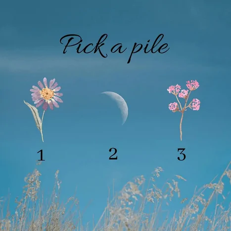 Pick a Pile 17/08/22 Instagram