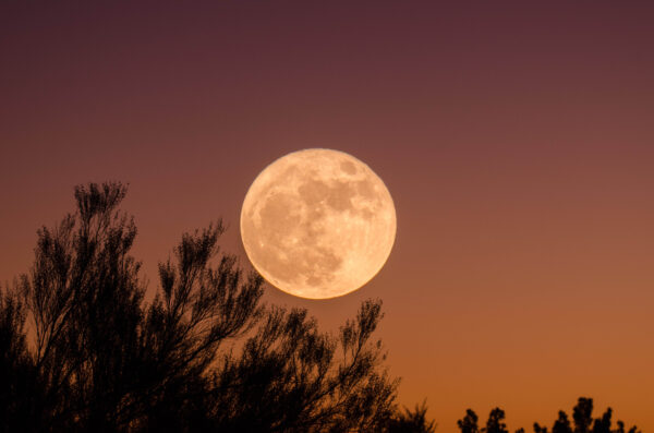 Luna piena 1 agosto in Sravana: l’arte di ascoltare