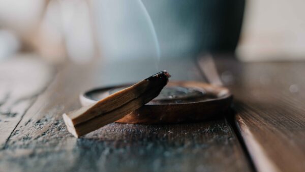 Estratto di palo santo: preparazione e benefici