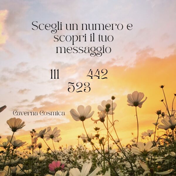 Il tuo messaggio 27/08/24