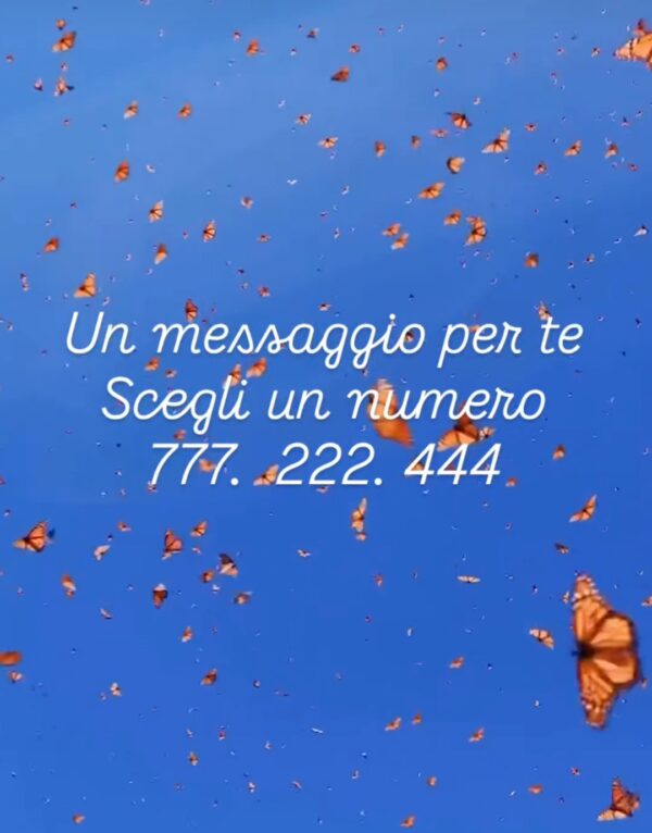 Messaggio 13/02/25