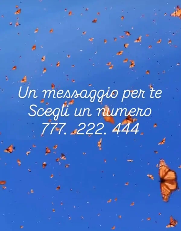 Messaggio 13/02/25