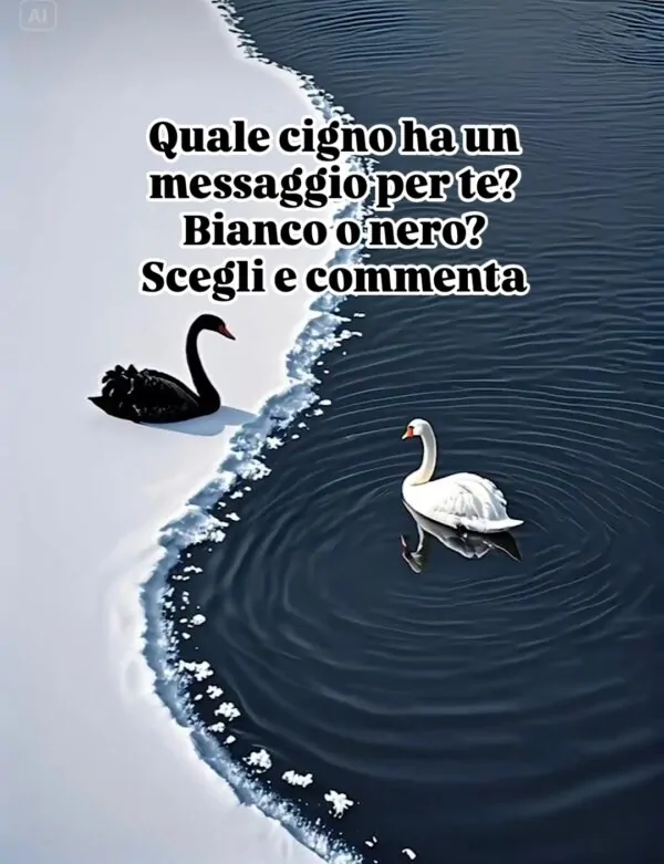 Gioco: i due cigni